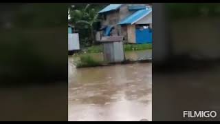 EFFECT OF FLOOD IN MALAYSIA AND BRUNEI VIRAL (73)