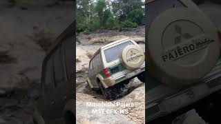 Mitsubishi Pajero Offroad MST CFX-WS 1/10 scale rc crawler #shorts