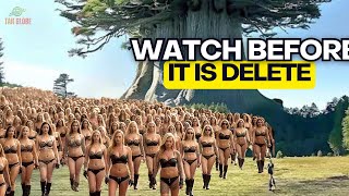 The Monster Tree On Earth Is BIGGER Than You Imagine - You Won’t Believe It Exists| Documentary