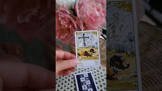 🩷Da si rekla da dodem odmah bi dosao #tarotcitanje #ljubav #tarotkarte