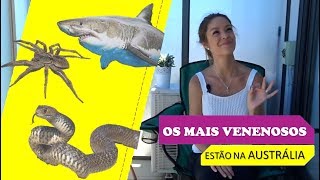 Os animais mais venenosos  do mundo estão na Austrália