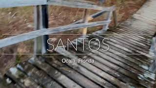 Santos Mountain Biking Trails - Ocala, Florida | Dirt Jumps, Wooden Drops, Flow Trails, & More