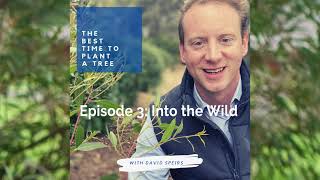 The Best Time to Plant a Tree podcast: Episode 3 - Into the Wild with Tim Allard