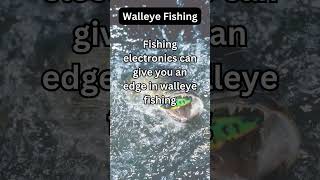 Walleye Fact 47