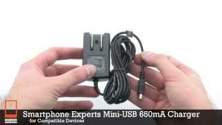 Smartphone Experts Mini-USB 650mA Compact Wall Charger