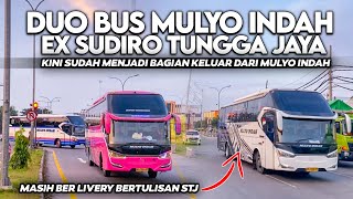 SEMAKIN BERSINAR PO INI ❗PO MULYO INDAH TELAH KEMBALI DENGAN BUS BUS YANG BERVARIASI  DIJALUR AKAP