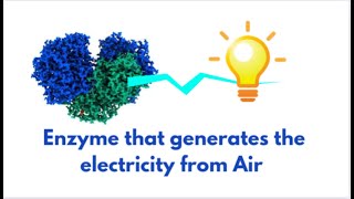 Enzyme that generates the electricity from air | Huc enzyme | GENEzole |