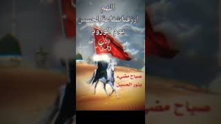 اللهم ارزقنا شفاعة الحسين #عليه_السلام #اللهم_عجل_لوليك_الفرج #يوميات #منوعات