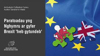 Paratoadau yng Nghymru ar gyfer Brexit 'heb gytundeb'