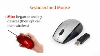 12 04 Keyboard and Mouse.mp4