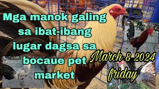 Mga manok galing sa ibat-ibang lugar dagsa sa bocaue pet market March 8 2024 Friday.