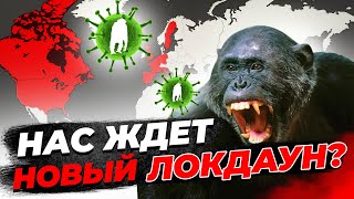 Оспа Обезьян: Насколько Опасна, Как Не Заразиться, Чем Лечить. КОЛИЧЕСТВО БОЛЬНЫХ УВЕЛИЧИТСЯ ЛЕТОМ?