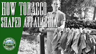 How Tobacco Shaped Appalachia  #appalachia #appalachian #appalachianhistory  #appalachianmountains