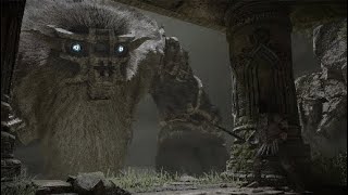 SHADOW OF THE COLOSSUS*