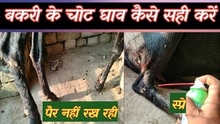 बकरी के पैर मे चोट लग गयी|Bakri Ke Ghav Ya Chot Lg Jana |Vimalumrao