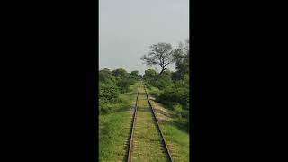 Near Victoria Bridge chak Nezam.#pakistanrailways #victoria #malakwal #1stvlog #pakistan