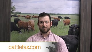 Closing Bell: Beef Cutout Expectations – July 19, 2024