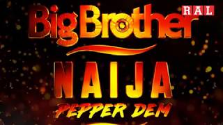 Updates From Big Brother Naija 2019 So Far