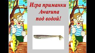 Игра приманки Awaruna под водой.