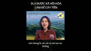 🎯 DLV xã hội hóa, làm để cày tiền