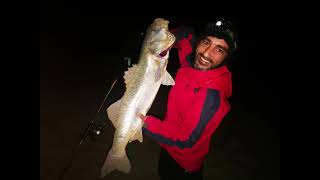 SURFCASTING Robalo 7Kg O melhor isco PESCARIA de PRAIA (2020)