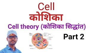 Cell theory/cell/The cell theory/what is cell theory?