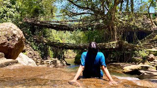 Double decker living root bridge Meghalaya #shorts #meghalayatourism #cherapunji