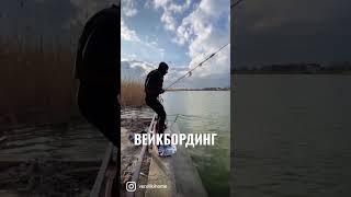 ВЕЙКБОРДИНГ 🏄