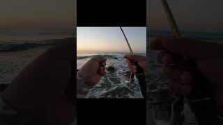 this is why we use steel cable when fishing