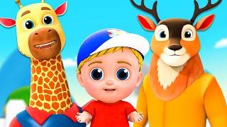 Zoo Song & More Nursery Rhymes and Cartoon Videos for Kids