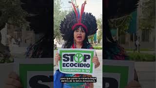 Thaline Maxim Gomez simpatizante de Stop Ecocidio en COP28