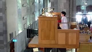 Nelson Cathedral NZ  10-00am Choral Communion 19th November 2023