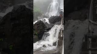 Beautiful Waterfall at my Hometown #amboliwaterfall #konkanbeauty #viral #trending #youtubeshorts