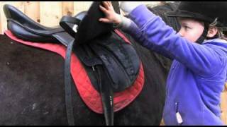 Crafty Ponies! How to lead, groom & tack up! www.craftyponies.co.uk