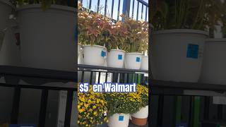 Rebajas en Walmart @Walmart #plant #siembracondayami #gardeninglovers #walmartfinds