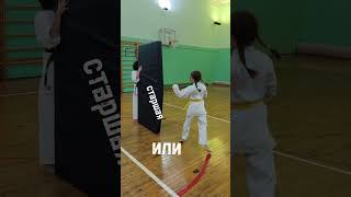 КТО ИЗ ДВУХ СЕСТЁР БЬЁТ ВЕРТУШКУ СИЛЬНЕЕ? #karate #боевыеискусства #каратэ #martialarts #karategirls