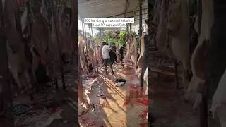 100 Kambing untuk acara Haul PP Azzayadi Solo #shorts #guskarim #haulsolo