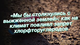 «Мы бы столкнулись с выжженной землей»: как на климат повлиял запрет хлорфторуглеродов