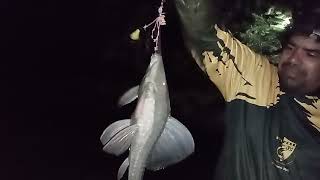 PESCA NOCTURNA EN LA ISLA NOS AGARRO LA SUDESTADA ▶️📽️🎣🏝️🌬️