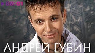 АНДРЕЙ ГУБИН - TOP 20 - Лучшие песни