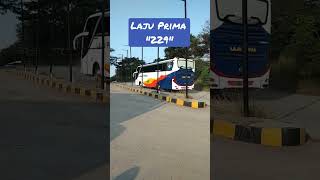 Bus Laju Prima 229#shorts #busmaniacomunity #videobus #storybus #hunting