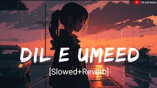 Di l- E - Umeed | Slowed+Reverb | 💔😔Broken Heart Lofi | Bs Lofi Music