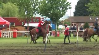 Ginny at John Scott team Champs 2014