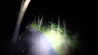 Deerstalker in the dark with Scrambled Legs