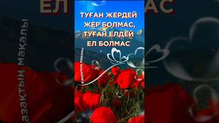 🍁💝🌿 Туған жердей жер болмас#РОДИНА#НАРОД#ПОГОВОРКИ#RESPECT  #SHORTS 💞🌞🌹