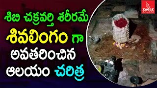 చేజెర్ల కపోతేశ్వరాలయం | History of Chejerla Sri Kapoteswara Swamy Temple || Eagle Andhra