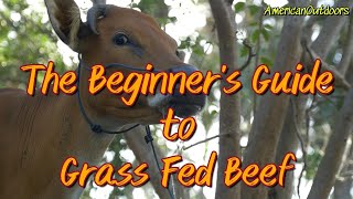 THE BEGINNER'S GUIDE TO GRASS FED BEEF