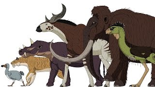 CENOZOIC BEASTS | Animated Size Comparison