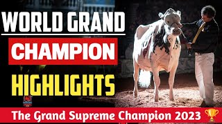 World Champion Cow 2023 | Erbacres Snapple Shakira | Highlights | World Dairy Expo