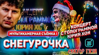 СНЕГУРОЧКА / МУЛЬТИКАМЕРНАЯ ВЕРСИЯ! КОНЦЕРТ С ГОЛОГРАММОЙ ЮРИЯ ХОЯ ГРУППА #CЕКТОРГАЗА #НАХОДУПОХОДУ